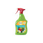 Solabiol Insetticida Abbattente PFnPO 1LT Pronto all'Uso