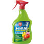 SANIUM SL25 GIARDINO PFnPE 800ML Pronto all'uso PROTECT HOME