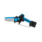 Potatore a Batteria FURY XM CAMPAGNOLA - 2 Batterie da 2,5 Ah e Caricabatterie in dotazione