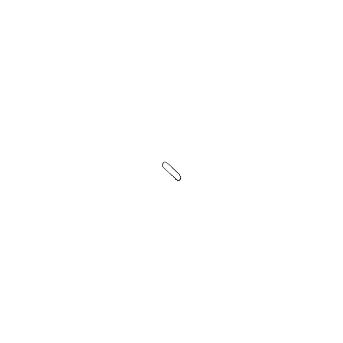 CATENA per potatore T-CAT M e T-REX 1/4" 29 Maglie CATENA per potatore T-CAT M e T-REX 1/4" 29 Maglie