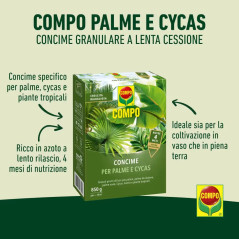 COMPO Concime per Palme e Cycas 850GR ACQUISTA SU SOLLINISTORE