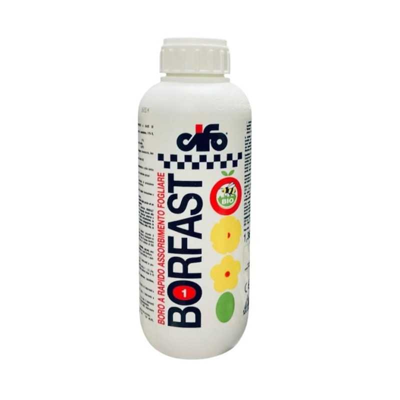 Borfast 1LT Cifo Boro