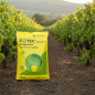 CONCIME ENTEC PERFECT 14.7.17 25KG EUROCHEM