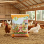 Mangime Ruspanty 25Kg per Polli ruspanti