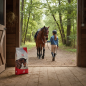 Purina Horse Freetime 25Kg Cavalli