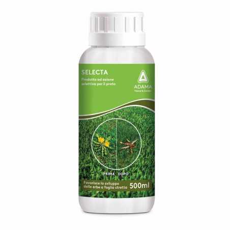 SELECTA 600GR Liquido Adama