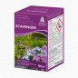 SCAVENGER 100ML Insetticida ADAMA