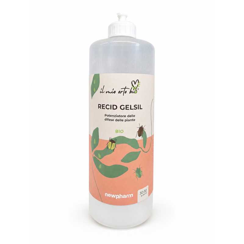Recid Gelsil 200GR Polvere Newpharm Recid Gelsil 200GR Polvere Newpharm
