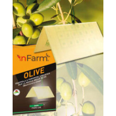 ISAGRO OLIVE TRAPPOLA FEROMONI - Per la Mosca delle Olive - Bactrocera oleae - confezione 9 Trappole