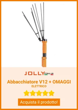 Abbachiatore Elettrico V12 Base Jolly Italia + Omaggi