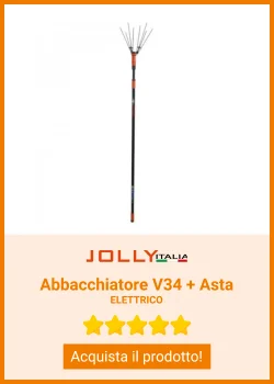 Abbacchiatore Elettrico V34 Asta Telescopica cm 170 - 310 Jolly Italia