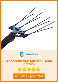 CAMPAGNOLA ELETTR.ABBACCHIATORE MASTER + ASTA 185-270CM