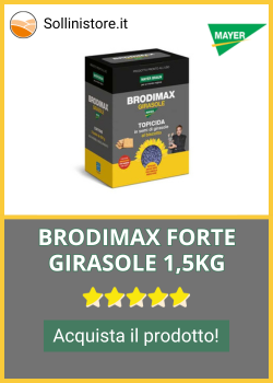 BRODIMAX-FORTE-GIRASOLE-1-5KG.png