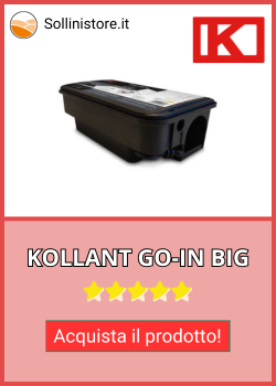 KOLLANT GO-IN BIG.png