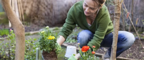 Scarica la Guida di Giugno Luglio 2022 per il tuo Giardino, Orto e Frutteto