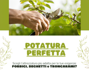 Guida Completa agli Attrezzi da Potatura: I Migliori Strumenti per un Giardino Perfetto!