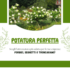 Guida Completa agli Attrezzi da Potatura: I Migliori Strumenti per un Giardino Perfetto!