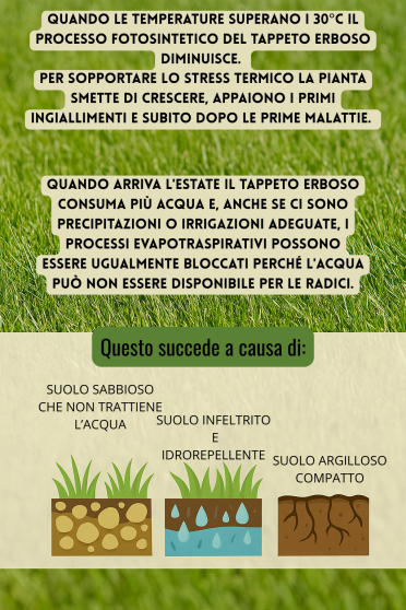 Prato più verde con meno acqua: la soluzione che fa la differenza!